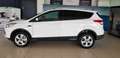 Ford Kuga 2.0 TDCI 120 CV S&S 2WD Plus Bianco - thumbnail 7