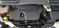 Ford Kuga 2.0 TDCI 120 CV S&S 2WD Plus Bianco - thumbnail 11