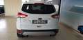 Ford Kuga 2.0 TDCI 120 CV S&S 2WD Plus Bianco - thumbnail 5