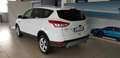 Ford Kuga 2.0 TDCI 120 CV S&S 2WD Plus Bianco - thumbnail 4
