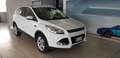 Ford Kuga 2.0 TDCI 120 CV S&S 2WD Plus Bianco - thumbnail 1