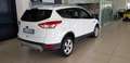 Ford Kuga 2.0 TDCI 120 CV S&S 2WD Plus Bianco - thumbnail 6