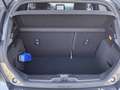 Ford Fiesta 5p 1.1 ST-Line 85cv my18 Gris - thumbnail 14