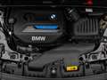 BMW X2 xD25e Kamera DAB Lordos Geschwindigkeitsreg Noir - thumbnail 18