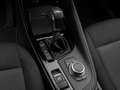 BMW X2 xD25e Kamera DAB Lordos Geschwindigkeitsreg Noir - thumbnail 22