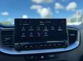 Kia Ceed SW / cee'd SW Sportswagon 1.0 T-GDi DynamicPlusLine MHEV DCT Grau - thumbnail 19