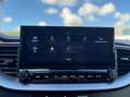 Kia Ceed SW / cee'd SW Sportswagon 1.0 T-GDi DynamicPlusLine MHEV DCT Grau - thumbnail 27