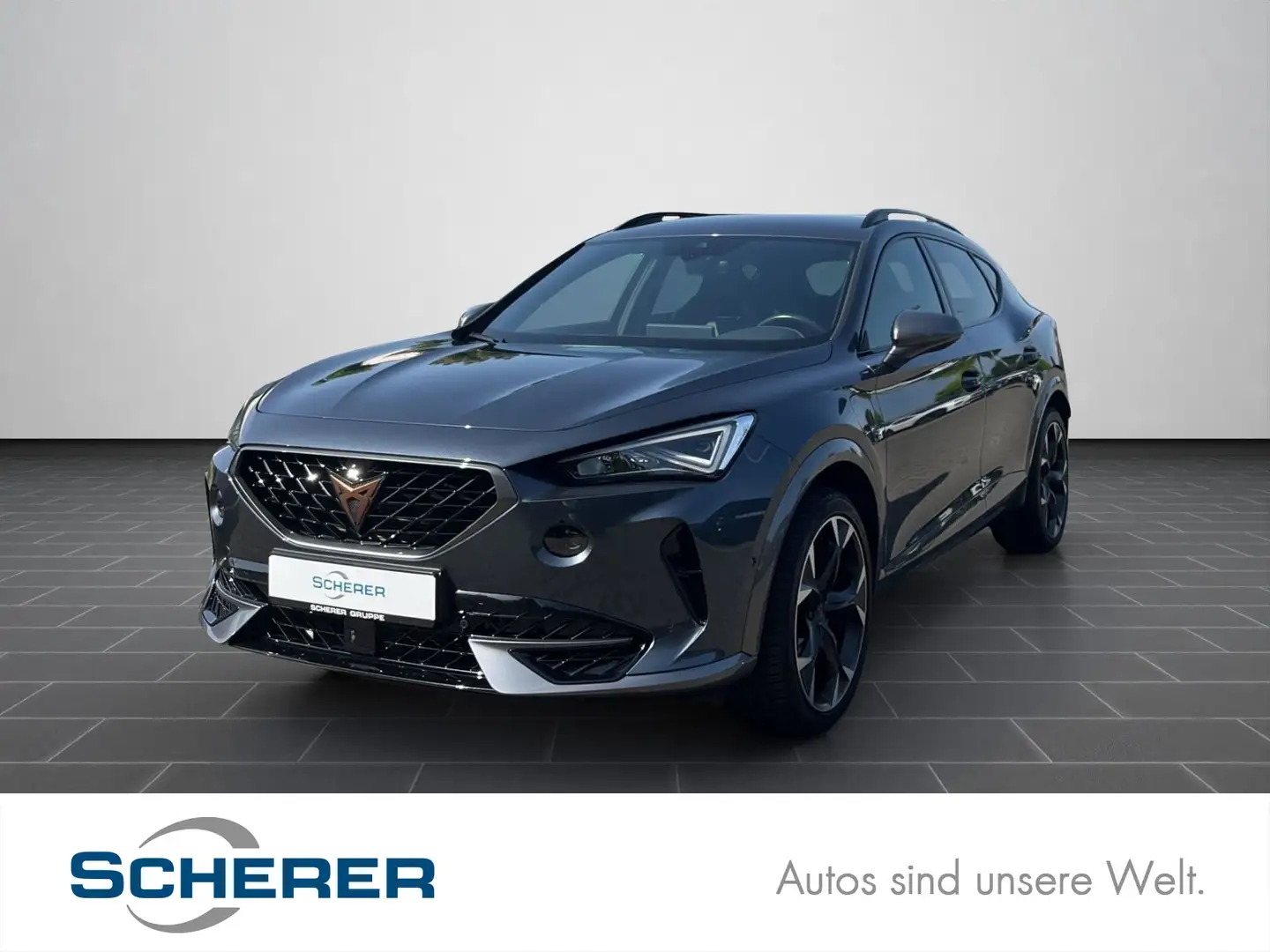 CUPRA Formentor 1.4 e-HYBRID OPF VZ Navi, Top View, Me Grau - 1
