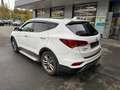 Hyundai SANTA FE 2.2 CRDi blue Premium 4WD Xen.|AHK|Navi Weiß - thumbnail 6