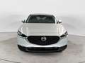 Mazda CX-30 e-Skyactiv-G M Hybrid 2WD Prime Line Grigio - thumbnail 2