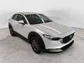 Mazda CX-30 e-Skyactiv-G M Hybrid 2WD Prime Line Grigio - thumbnail 1