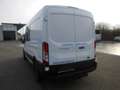 Ford Transit Transit Kasten DoKa 2,0 EcoBlue L3H2 350 Trend Weiß - thumbnail 2