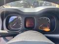 Fiat Panda Panda 2021 1.0 firefly hybrid PREZZO PROMO Nero - thumbnail 11