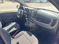 Fiat Panda Panda 2021 1.0 firefly hybrid PREZZO PROMO Nero - thumbnail 13