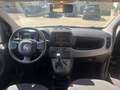 Fiat Panda Panda 2021 1.0 firefly hybrid PREZZO PROMO Nero - thumbnail 9