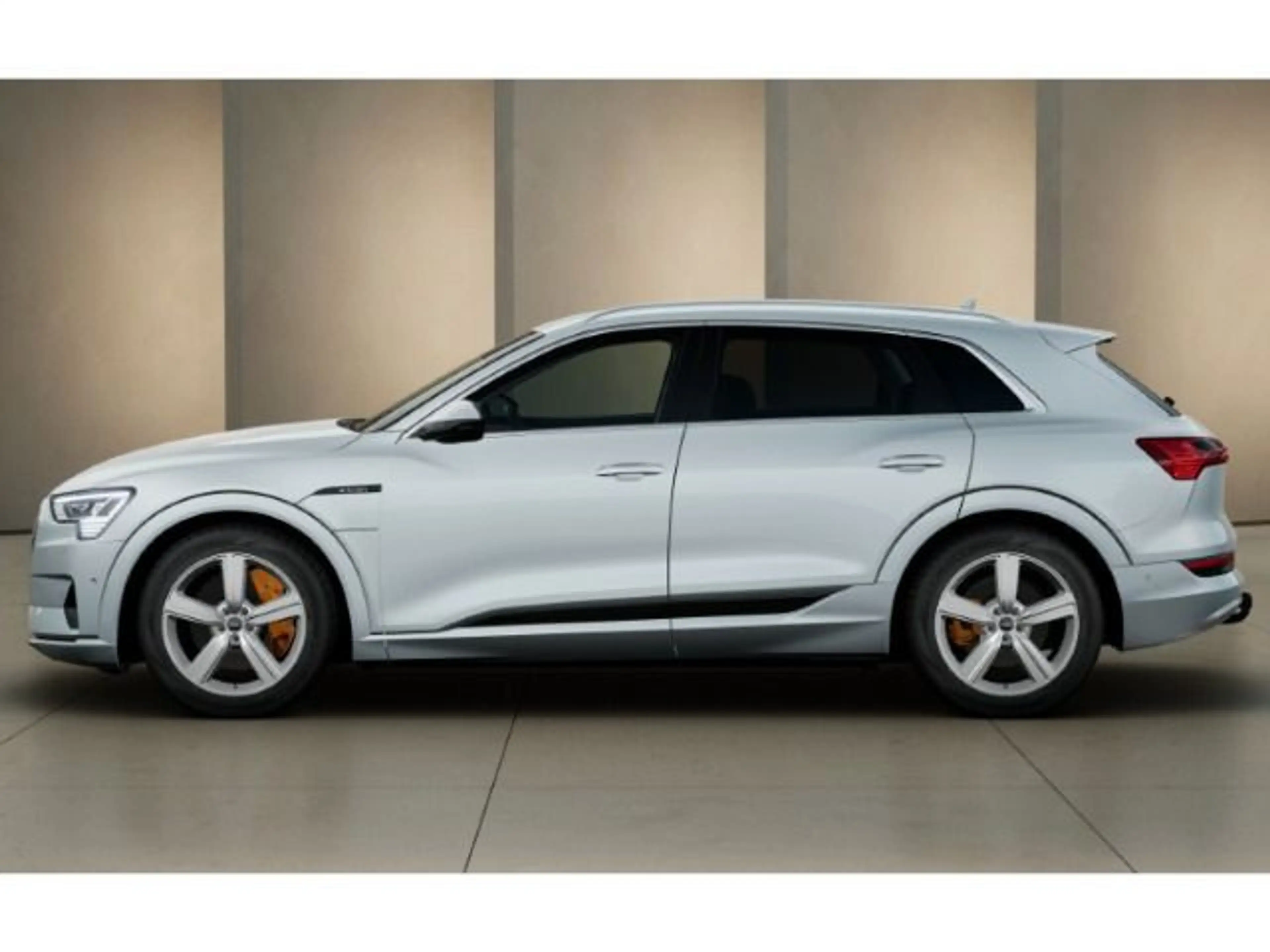 Audi e-tron advanced 55 quattro NACHTSICHT*AHK*RFK — photo 3