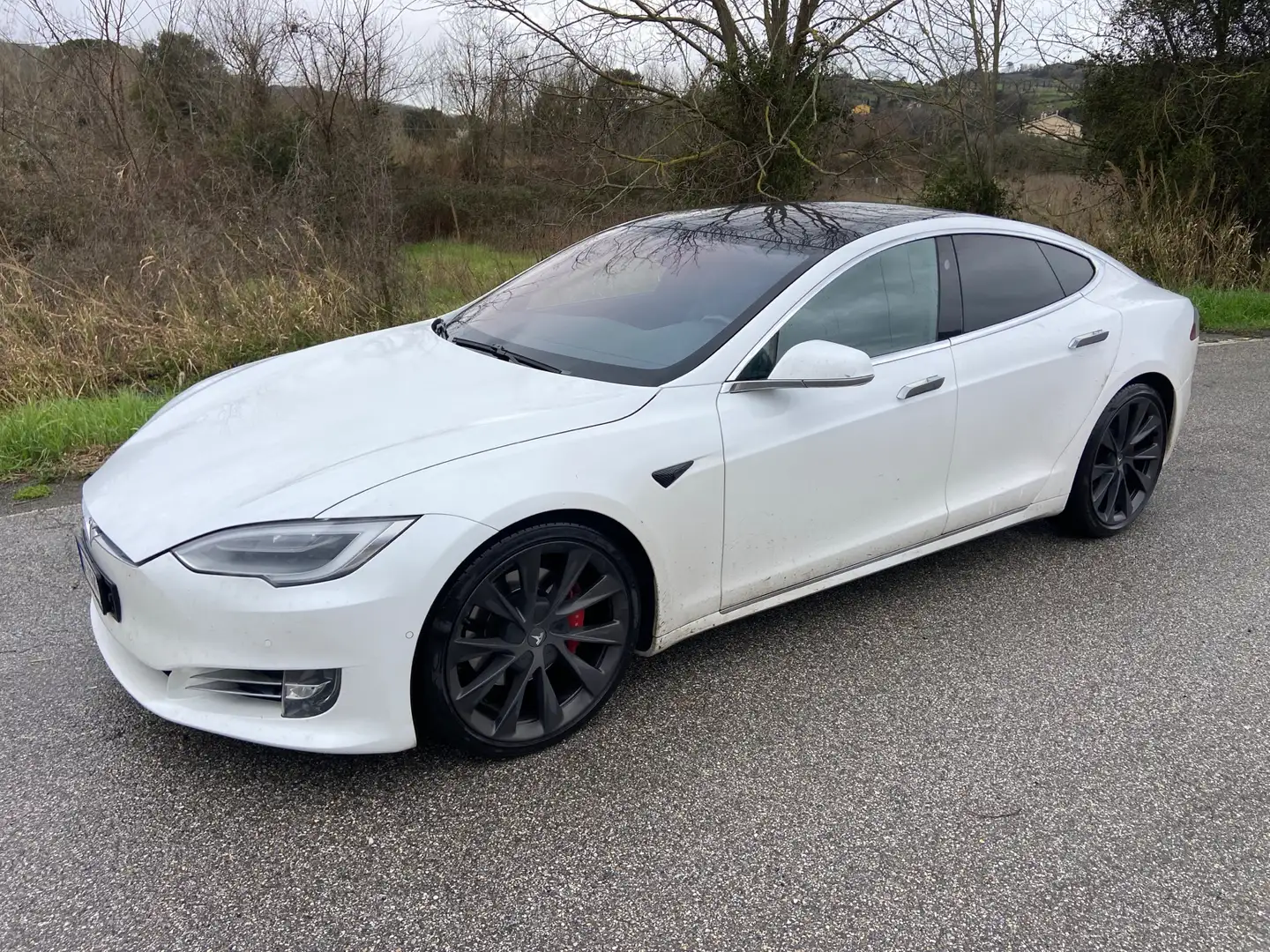 Tesla Model S Model S Performance Dual Motor Ludicros Bianco - 1