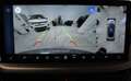 Ford Kuga Kuga 2.5 Full Hybrid 180 CV CVT 2WD ST-Line X Grigio - thumbnail 14