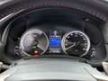 Lexus NX 300h AWD F-Sport Line Limited | Rood lederen interieur Grijs - thumbnail 6