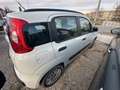 Fiat Panda 1.3 MJT 95 CV S&S Easy - thumbnail 7