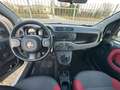 Fiat Panda 1.3 MJT 95 CV S&S Easy - thumbnail 16