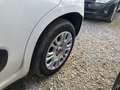 Fiat Panda 1.3 MJT 95 CV S&S Easy - thumbnail 12