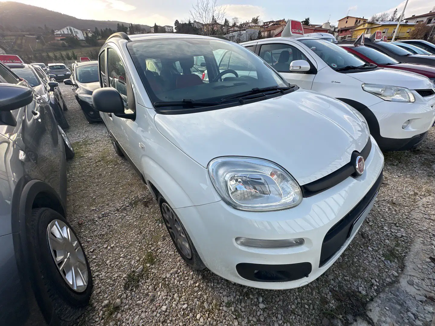 Fiat Panda 1.3 MJT 95 CV S&S Easy - 1