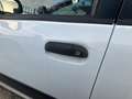 Fiat Panda 1.3 MJT 95 CV S&S Easy - thumbnail 13