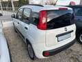 Fiat Panda 1.3 MJT 95 CV S&S Easy - thumbnail 5