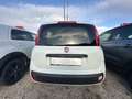 Fiat Panda 1.3 MJT 95 CV S&S Easy - thumbnail 4