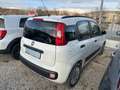 Fiat Panda 1.3 MJT 95 CV S&S Easy - thumbnail 3