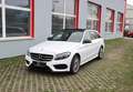 Mercedes-Benz C 250 C 250 T BlueTec d 4Matic AMG LINE | PANO | RFK|LED Weiß - thumbnail 6