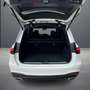 Mercedes-Benz GLS 450 d 4Matic  AMG Line +MBUX+Wide+Pano+AHK Weiß - thumbnail 8