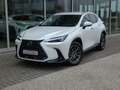 Lexus NX 450h+ *Plug-in* AWD Executive Line *Belgische wagen* Wit - thumbnail 1