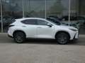 Lexus NX 450h+ *Plug-in* AWD Executive Line *Belgische wagen* Wit - thumbnail 30
