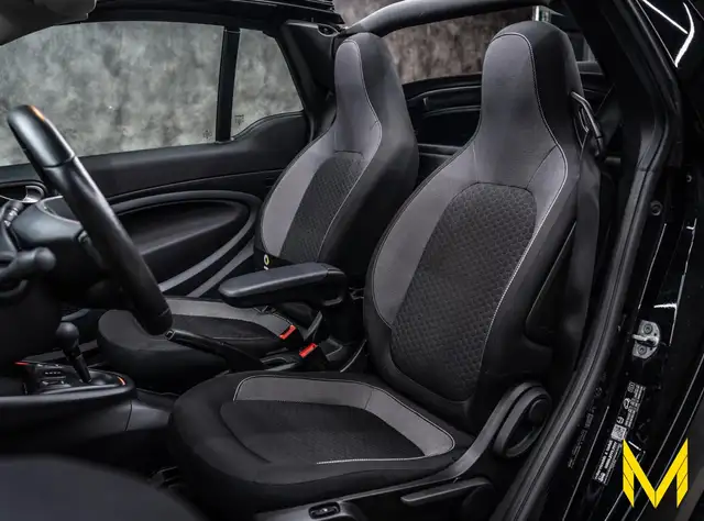 smart Fortwo view 14