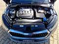 Skoda Octavia Lim. 2.0 TDI Ambition DSG LED Sitzhzg Klimaauto Gris - thumbnail 15