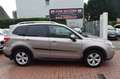 Subaru Forester OHNE FAHRZEUGPAPIERE,XENON,KAMERA,AHK. Brun - thumbnail 1