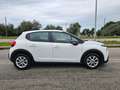 Citroen C3 BlueHDi 100 S&S Business Combi 4 POSTI N1 Weiß - thumbnail 4