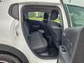 Citroen C3 BlueHDi 100 S&S Business Combi 4 POSTI N1 Weiß - thumbnail 15