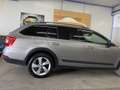 Skoda Octavia Octavia Combi 2,0 TDI 4x4 Scout DSG Scout Grau - thumbnail 5
