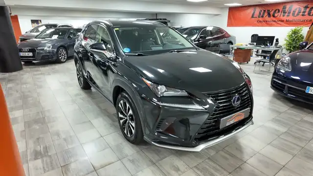 Lexus NX view 8