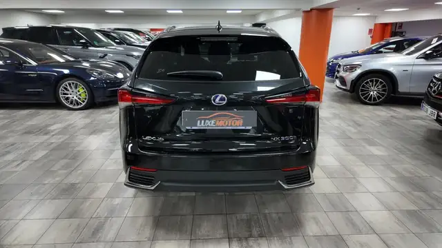 Lexus NX view 5