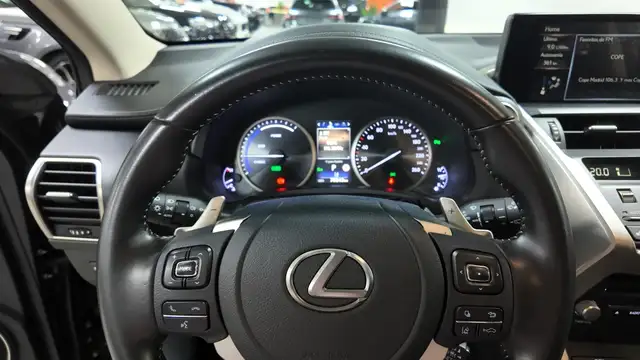 Lexus NX view 30