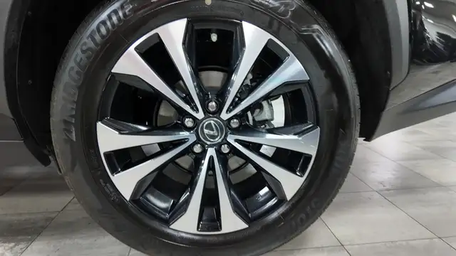 Lexus NX view 13