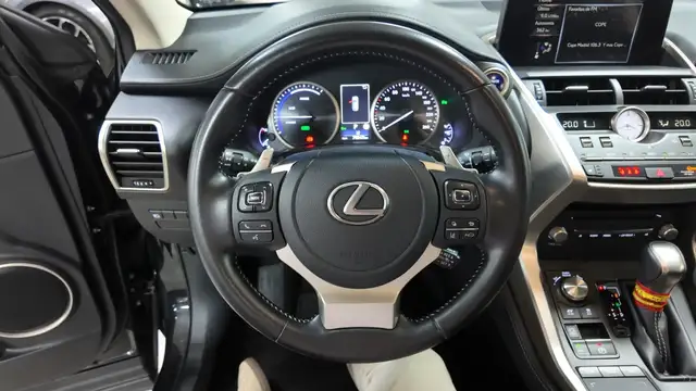 Lexus NX view 22