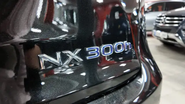 Lexus NX view 15