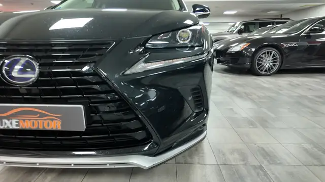 Lexus NX view 9