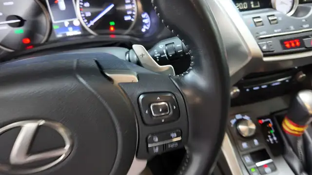 Lexus NX view 26