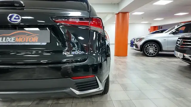 Lexus NX view 16